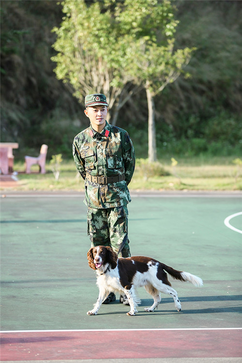 湖南卫视《奇兵神犬》沙溢活力十足再出金句,搭档"阿贝"人犬跳绳萌翻